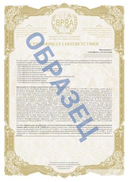 Образец Приложение к СТО 01.064.00220722.2-2020 Борисоглебск Сертификат СТО 01.064.00220722.2-2020 